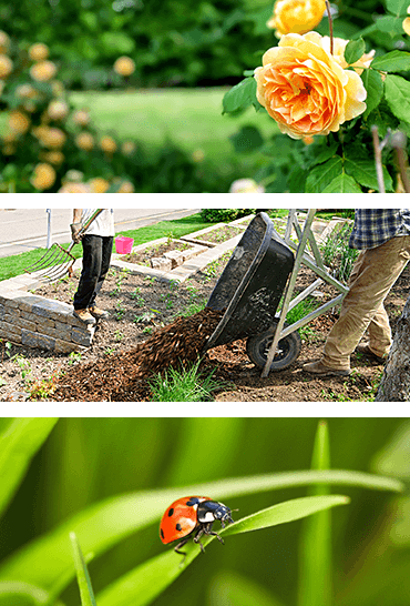 Organic Gardening Nursery - Denton, Lewisville, Highland Village, TX